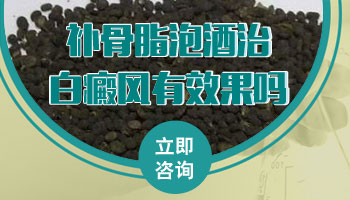 治白癜风一斤白酒可以泡多少补骨脂在里面
