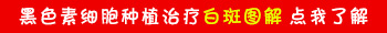 农村低保户得了白癜风可以报销吗