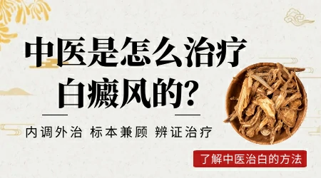 倪海厦治皮肤白斑的方法