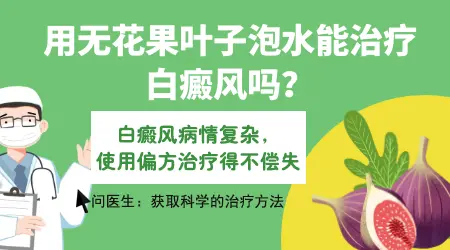 无花果叶擦拭白癜风的偏方