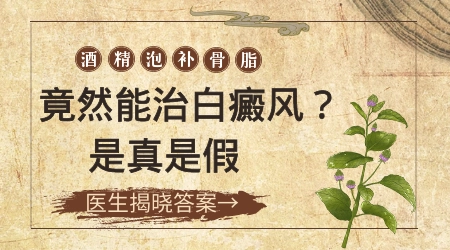 补骨脂泡酒涂抹白癜风的复色概率是多少