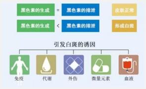 为何身上会出现一个一个红色斑点啊