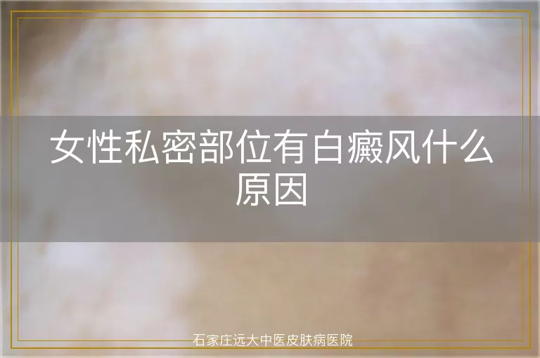 女性私密部位有白癜风什么原因