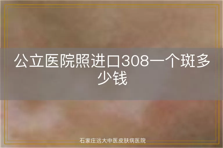 公立医院照进口308一个斑多少钱