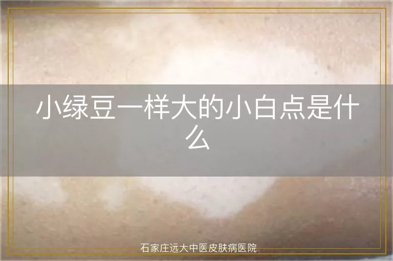 小绿豆一样大的小白点是什么