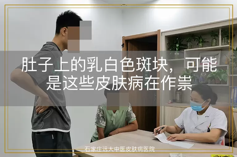 肚子上的乳白色斑块，可能是这些皮肤病在作祟